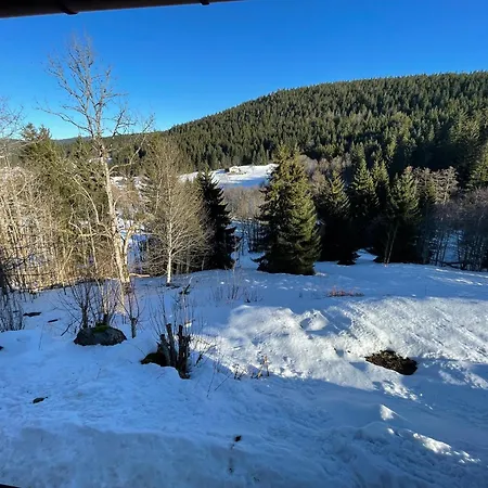 Casa vacanze Panoramika - Maison Pour 14 Vue Montagne Xonrupt-Longemer