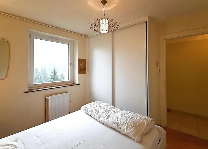 Panoramika - Maison Pour 14 Vue Montagne Prázdninový dům Xonrupt-Longemer