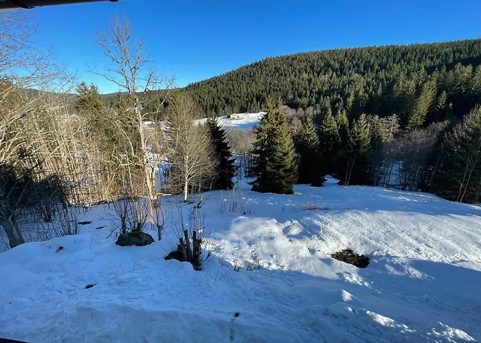 Prázdninový dům Panoramika - Maison Pour 14 Vue Montagne Xonrupt-Longemer